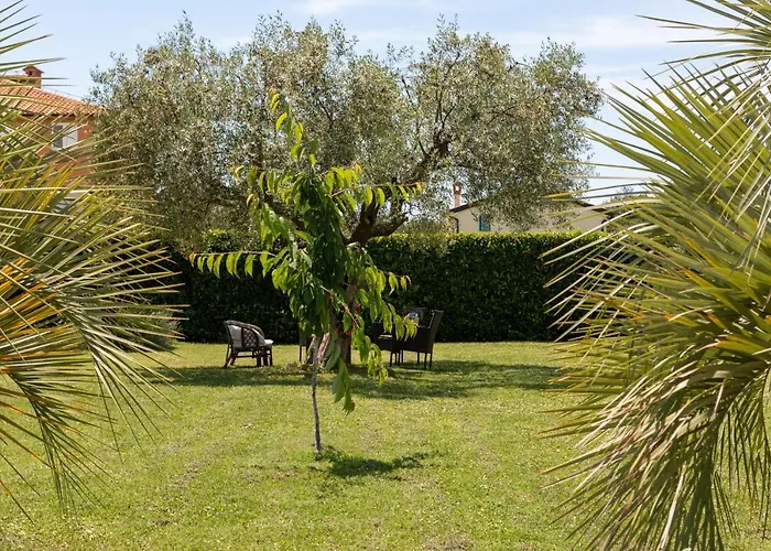 Oasa 1 Bed and Breakfast Ρόβινι