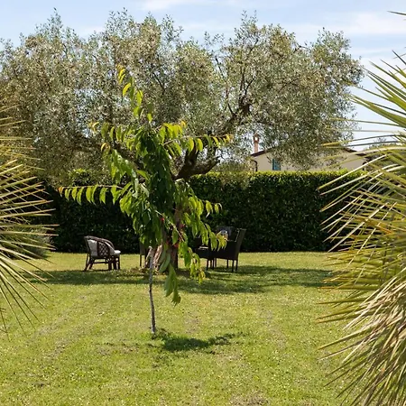 Oasa 1 לינה וארוחת בוקר רוביני